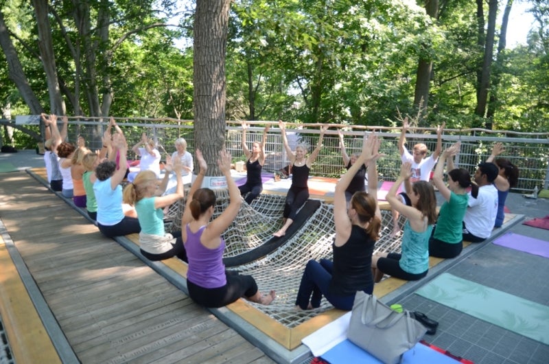 Tree Pose in the Treetops at the Morris Arboretum & Gardens Morris Arboretum & Gardens